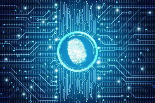 揭秘！关于人体的5个常见伪科学事实